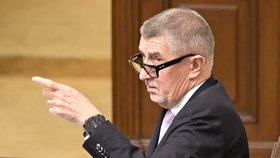 Šéf hnutí ANO Andrej Babiš