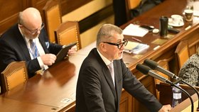 Sněmovní bitva o energie skončila bez výsledku: Babiš mluvil mimo téma, Havlíček zuřil