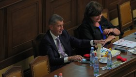 Premiér Andrej Babiš s ministryní financí Alenou Schillerovou v Poslanecké sněmovně. (4.6.2019)