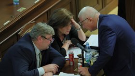Schůze Sněmovny: Alena Schillerová (za ANO) a Jaroslav Faltýnek (ANO) dali hlavy dohromady (6. 11. 2019)