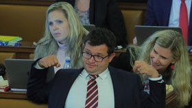 Schůze Sněmovny: Šéf poslanců ČSSD Jan Chvojka se protahuje (6. 11. 2019)