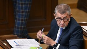 Jednání Sněmovny o snížení valorizace důchodů: Šéf ANO Andrej Babiš (8 .6 .2023)