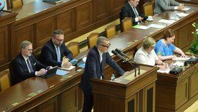 Koalice vyhrála první část bitvy o penze: Důchodová reforma prošla úvodním čtením