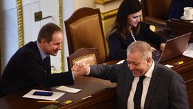 Mimořádná schůze Sněmovny 11. 11. 2016: Přátelské gesto mezi místopředsedou Sněmovny Petrem Gazdíkem (STAN) a ministrem vnitra Milanem Chovancem (ČSSD).