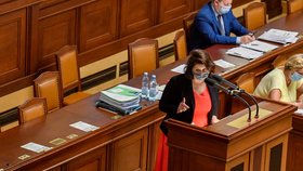 Ministryně práce a sociálních věcí Jana Maláčová (ČSSD) u pultíku ve Sněmovně během interpelací (17.9.2020)