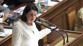 Miroslava Němcová (ODS) v červnu 2019 při jednání o důvěře vládě