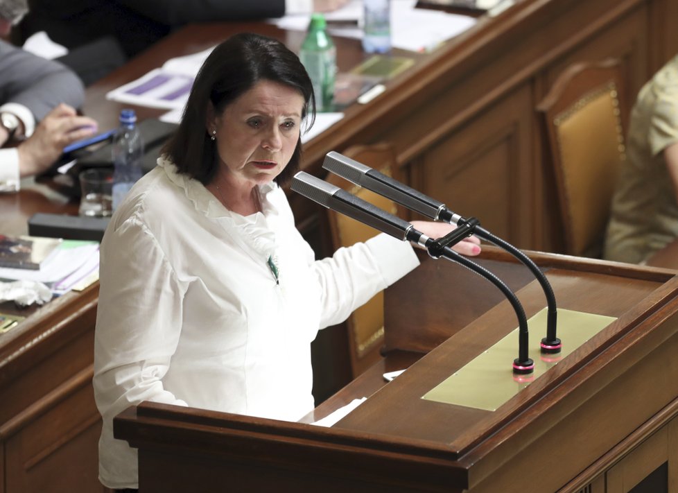 Miroslava Němcová (ODS) v červnu 2019 při jednání o důvěře vládě