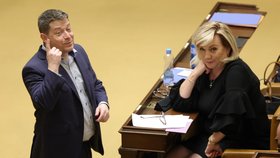 Patrik Nacher (ANO) ve Sněmovně