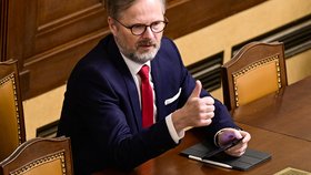 Petr Fiala ve Sněmovně