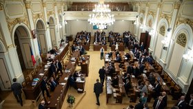 Jednání sněmovny o korespondenční volbě (18. 1. 2023)
