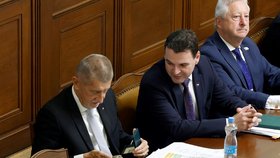 Jednání Sněmovny o nedůvěře vládě : Andrej Babiš (ANO) a Petr Macinka (Motoristé)(29.9.2026)