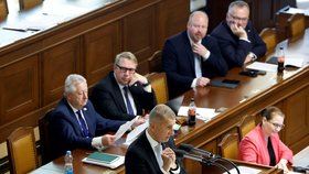 Jednání Sněmovny o nedůvěře vládě: Andrej Babiš (ANO) (29.9.2026)
