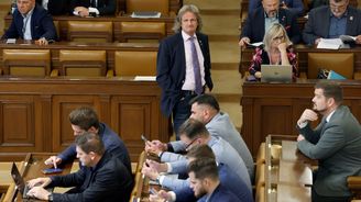 Kulturní dno SPD: Hulvát Ševčík ukazuje, jak hluboko klesla česká politika. Okamura u toho tleská Kulturní dno SPD: Hulvát Ševčík ukazuje, jak hluboko klesla česká politika. Okamura u toho tleská