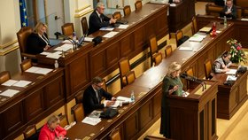 Sněmovna projednávala migrační pakt: Alena Schillerová (ANO) (28.2.2024)