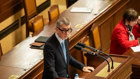 Sněmovna projednávala migrační pakt: Andrej Babiš (ANO) (28. 2. 2024).