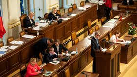 Sněmovna projednávala migrační pakt: Andrej Babiš (ANO) (28.2.2024)
