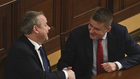 Jednání Sněmovny: Ministři Petříček a Ťok