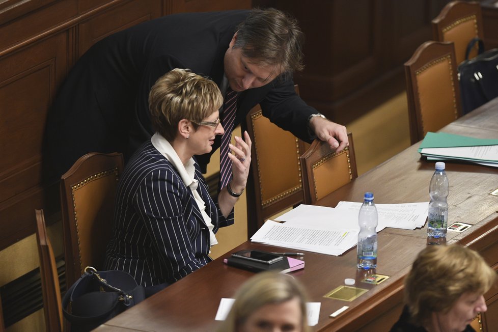 Jednání Sněmovny: Ministryně Nováková a ministr Kněžínek