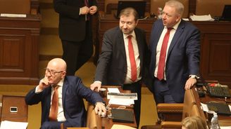 Zápisník Jany Havligerové: Politici vědí jak na to