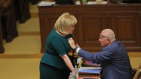 Alena Schillerová a Jaroslav Faltýnek ve Sněmovně (4.5.2022)