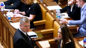 Jednání Sněmovny: Filip Turek a Gabriela Sedláčková (14.11.2025)