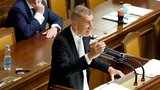 Sněmovna řeší nedůvěru vládě: „Nechovejte se jako burani,“ hřímala Černochová. Babiš dorazil až večer