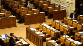 Olga Richterová (Piráti) ve Sněmovně (14.11.2025)