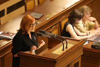 Bitva o rozpočet: „Je investiční a silně prorůstový,“ brání Schillerová enormní deficit