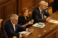 Babišova parta uspěla se změnou rozpočtových pravidel: Poslanci přehlasovali Pavlovo veto!