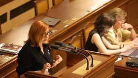 Jednání Sněmovny: Alena Schillerová (ANO) (25.8.2026)