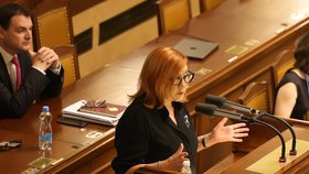 Jednání Sněmovny : Alena Schillerová (ANO) (25.8.2026)