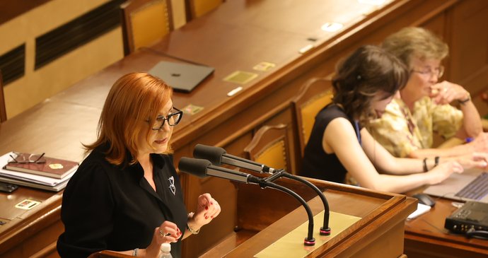 Jednání Sněmovny: Alena Schillerová (ANO) (25.8.2026)