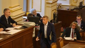 Jednání Sněmovny: Andrej Babiš (ANO) (25.8.2026)