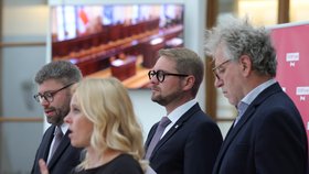 Jednání Sněmovny: Matěj Ondřej Havel (TOP 09) (25.8.2026)