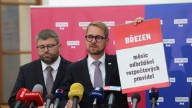 Jednání Sněmovny: Matěj Ondřej Havel (TOP 09) (25.8.2026)