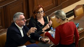 Jednání Sněmovny: Taťána Malá, Alena Schillerová (ANO) a Lubomír Metnar (za ANO)