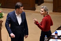 Jednání Sněmovny: Poslanci budou řešit neplatiče výživného, tyrany psů i platby do zdravotnictví