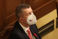 Andrej Babiš nemá ve Sněmovně výbor: Z práce si vyzobal rozinky, říká expert