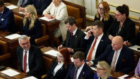 Ustavující schůze nové Sněmovny (3.11.2025)