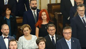 Ustavující schůze nové Sněmovny