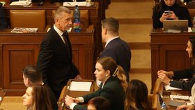 Jednání Poslanecké sněmovny (5.11.2025)