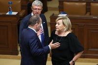 „České domácnosti ve stínu kolapsu a strach ze zimy!“ Poslanci se přeli o rozpočet