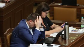 Ostré sněmovní spory kvůli obsazování rad ČT a rozhlasu: Poslanci debatovali 10,5 hodiny