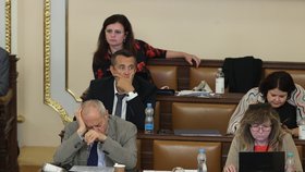 Jednání o nedůvěře vládě: Poslanci ANO včetně Jaroslavy Pokorné Jermanové (1.9.2022)