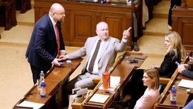 Mimořádná schůze Sněmovny (6.5.2026)