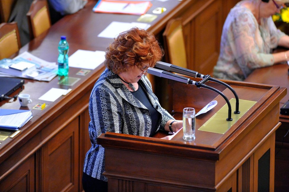 Vlasta Parkanová se před Sněmovnou snažila obhájit své kroky.