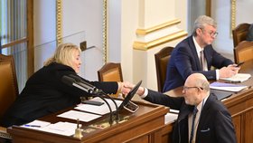 Mimořádná schůze Sněmovny k energiím: Klára Dostálová (ANO) a Vlastimil Válek (TOP 09) (16.11.2023)