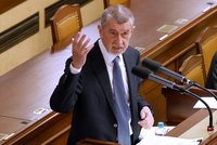 Emotivní hádky o volby Čechů v zahraničí: Babiš bouřil kvůli prasárně a 3. světové válce