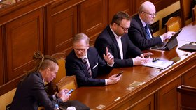 Jednání Poslanecké sněmovny o korespondenční volbě. (17. 1. 2023)