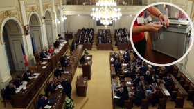 Sněmovna projedná korespondenční volbu pro Čechy v cizině.  Panují obavy z manipulace hlasů.